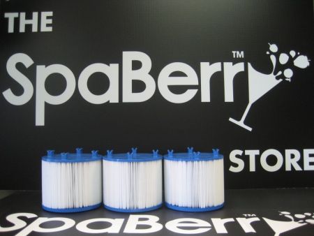 Berry Filter - 3 Pack